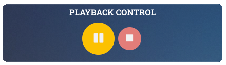 2_PlaybackControl_Pause.png