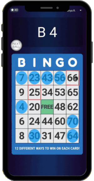 2_ActionEffects_Bingo.gif