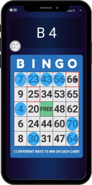 21_Bingo_ActionEffects.gif